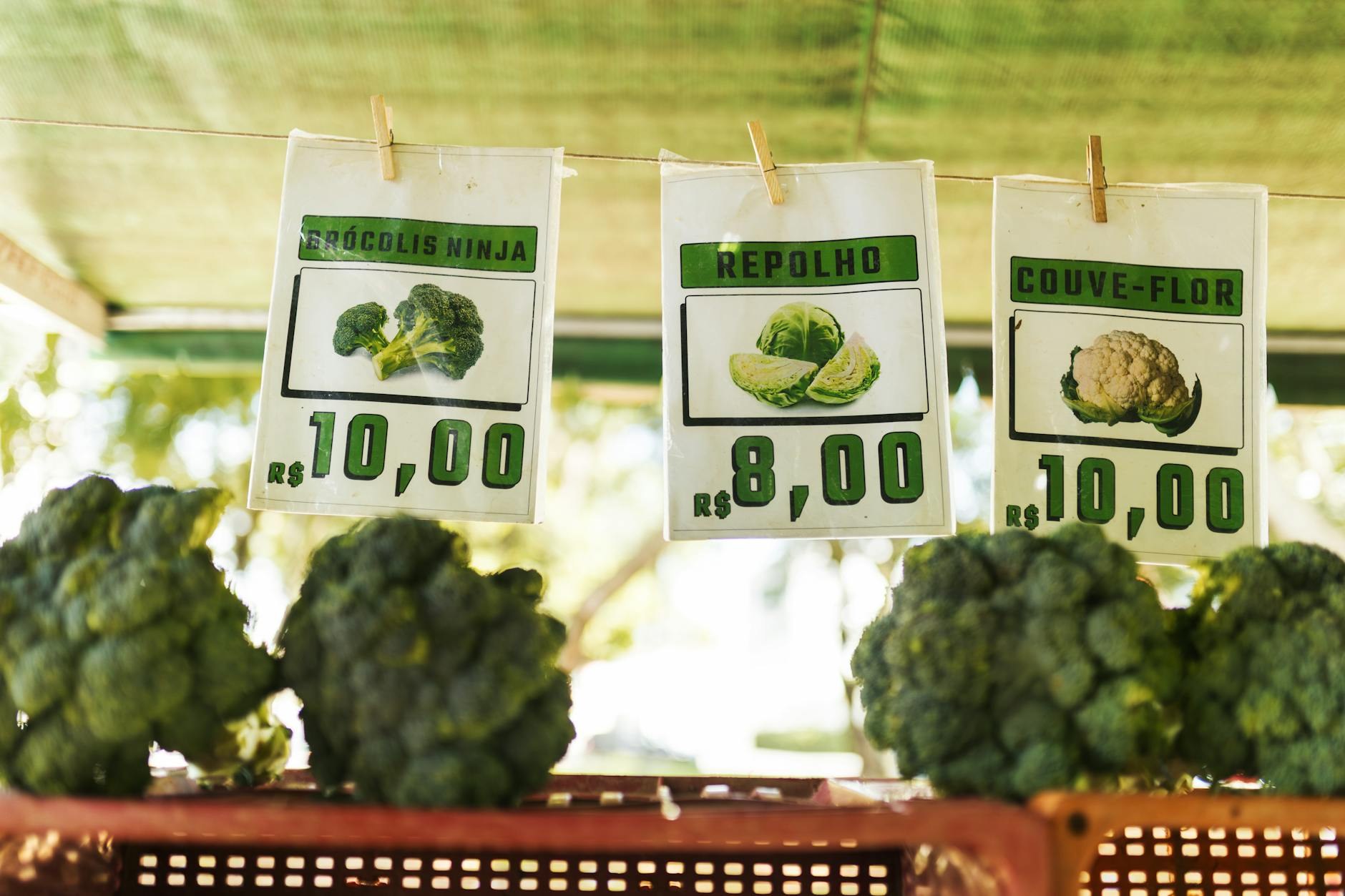 Economía dominicana Dólar se dispara en SDE: Precios de - El Farol al Día