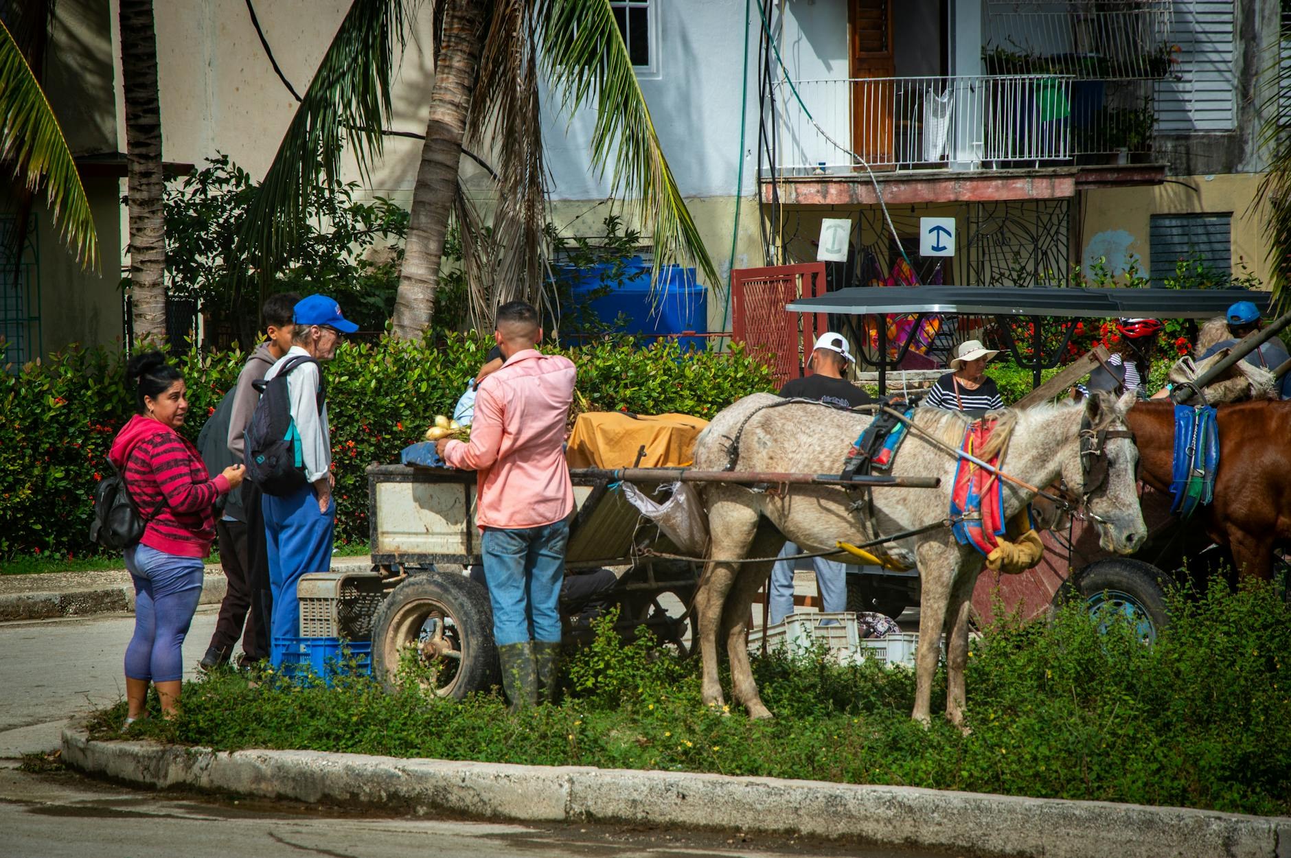 Economía dominicana SDE Despega: Gobierno Formaliza Neg - El Farol al Día