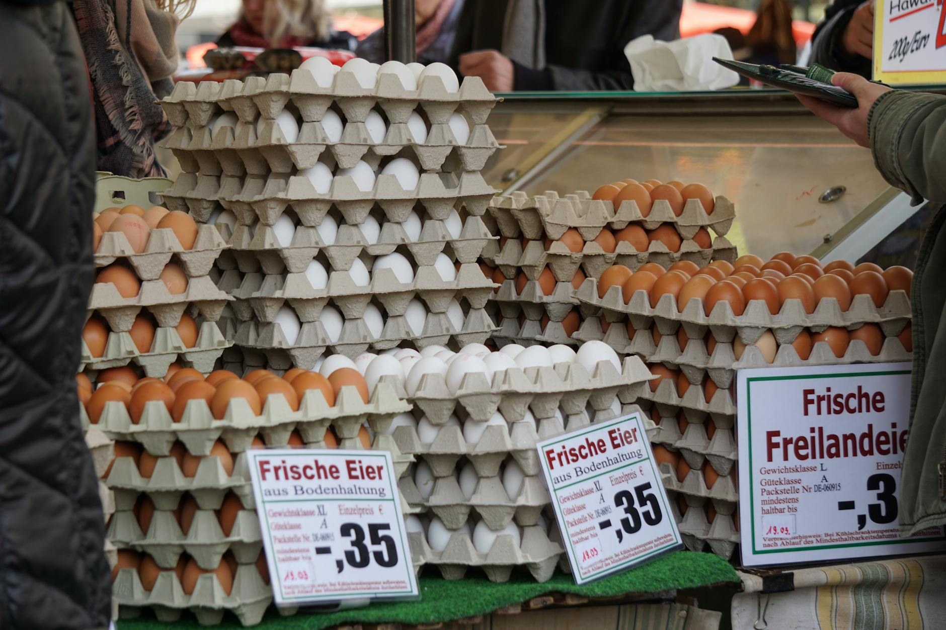 Economía dominicana Huevos por las Nubes SDE: Los Mina  - El Farol al Día