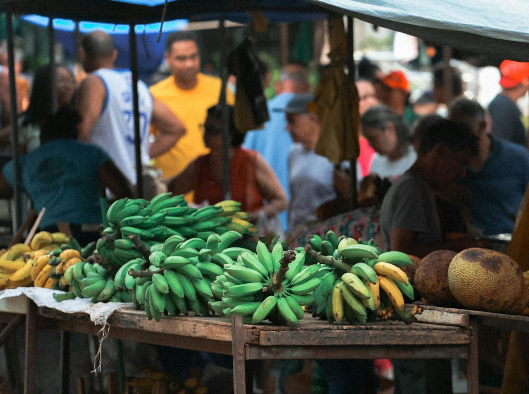 Economía dominicana IA en EE.UU. Agita Bolsillo de SDE: - El Farol al Día
