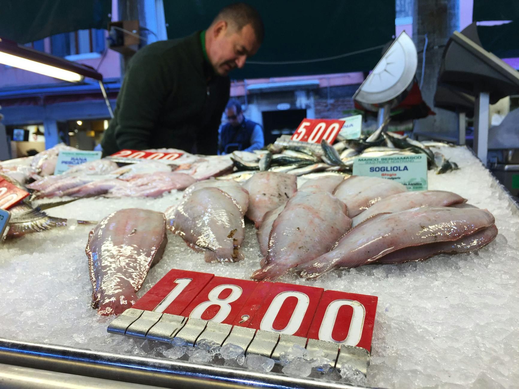 Economía dominicana Pescado Disparado SDE: Bolsillo Los - El Farol al Día