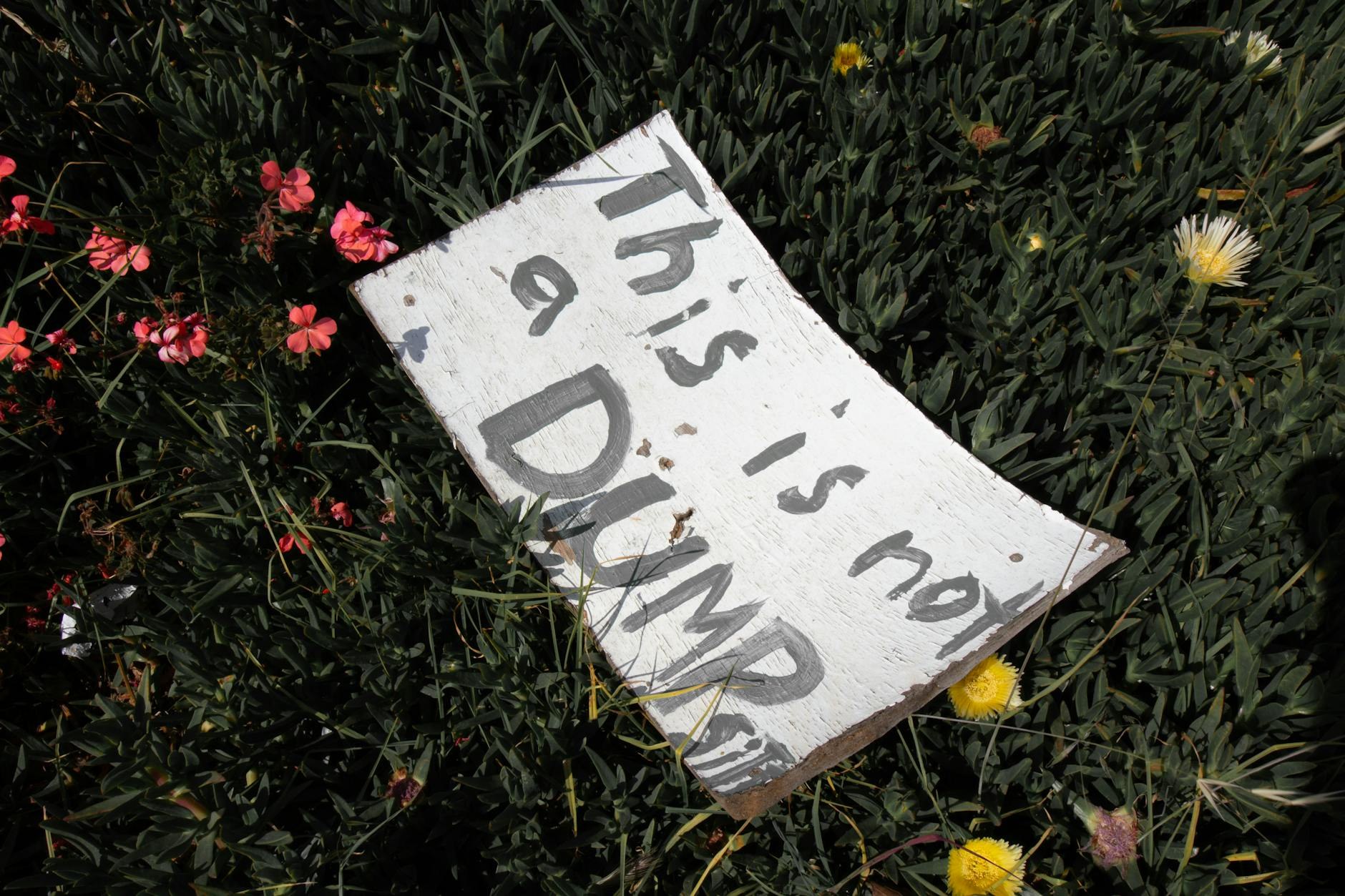 Noticias Parque Invadido SDE: Vecinos Los Mina ex Santo Domingo Este - El Farol al Día