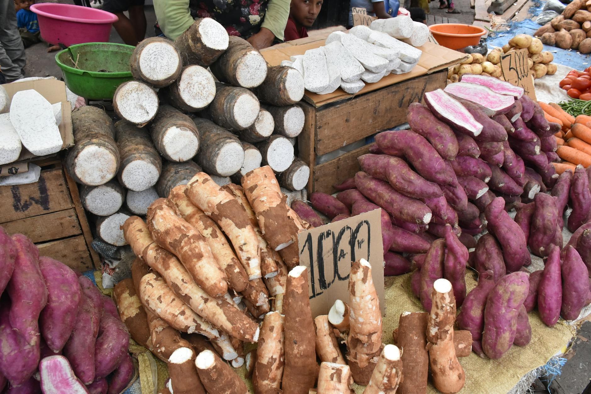 Economía dominicana Plátanos y Yuca RD$25 en SDE; Los M - El Farol al Día