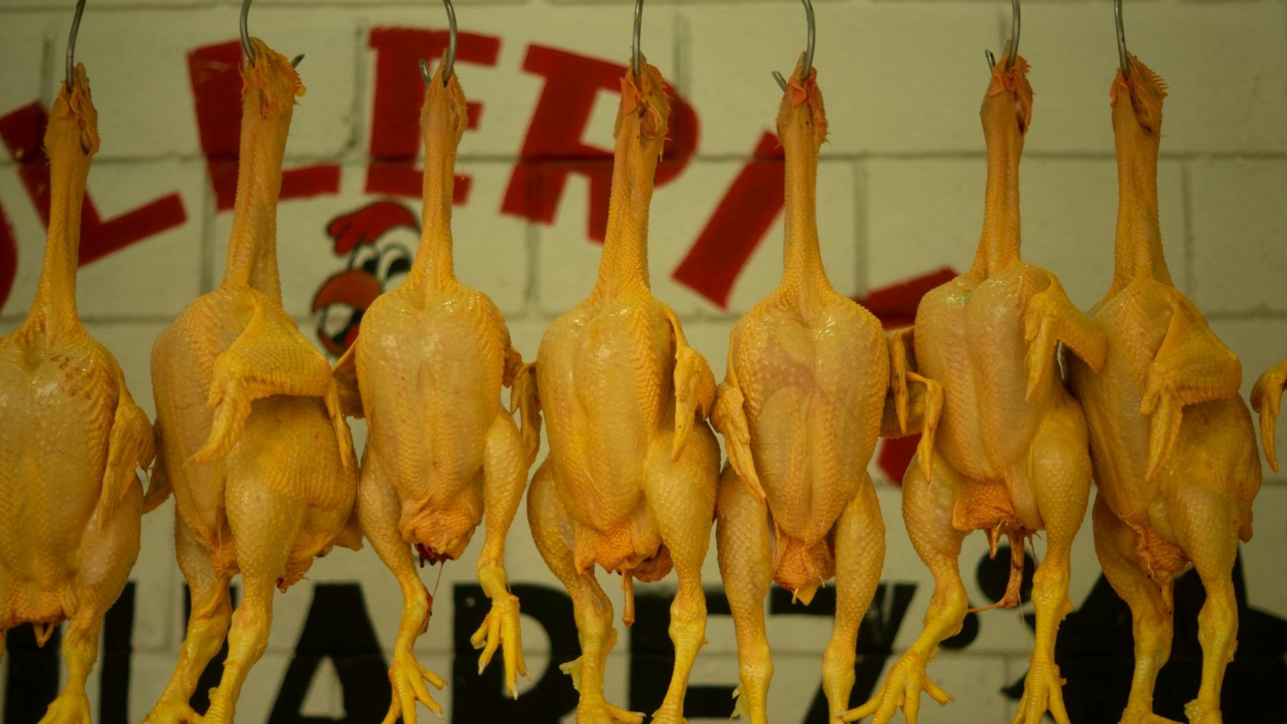 Economía dominicana Pollo SDE por las Nubes: Los Mina P - El Farol al Día