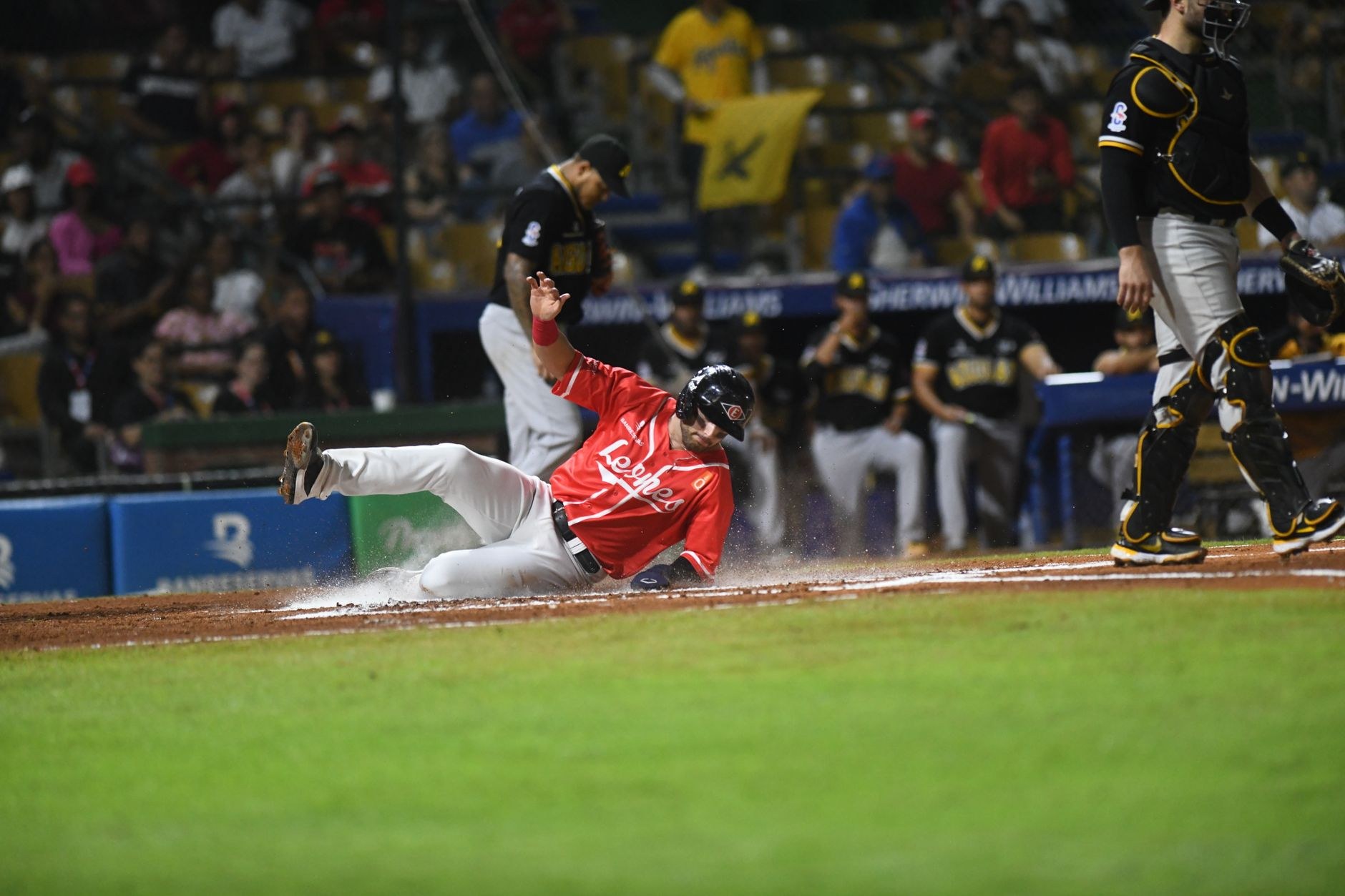 Deportes dominicanos Miguel Almonte Transforma Béisbol L - El Farol al Día