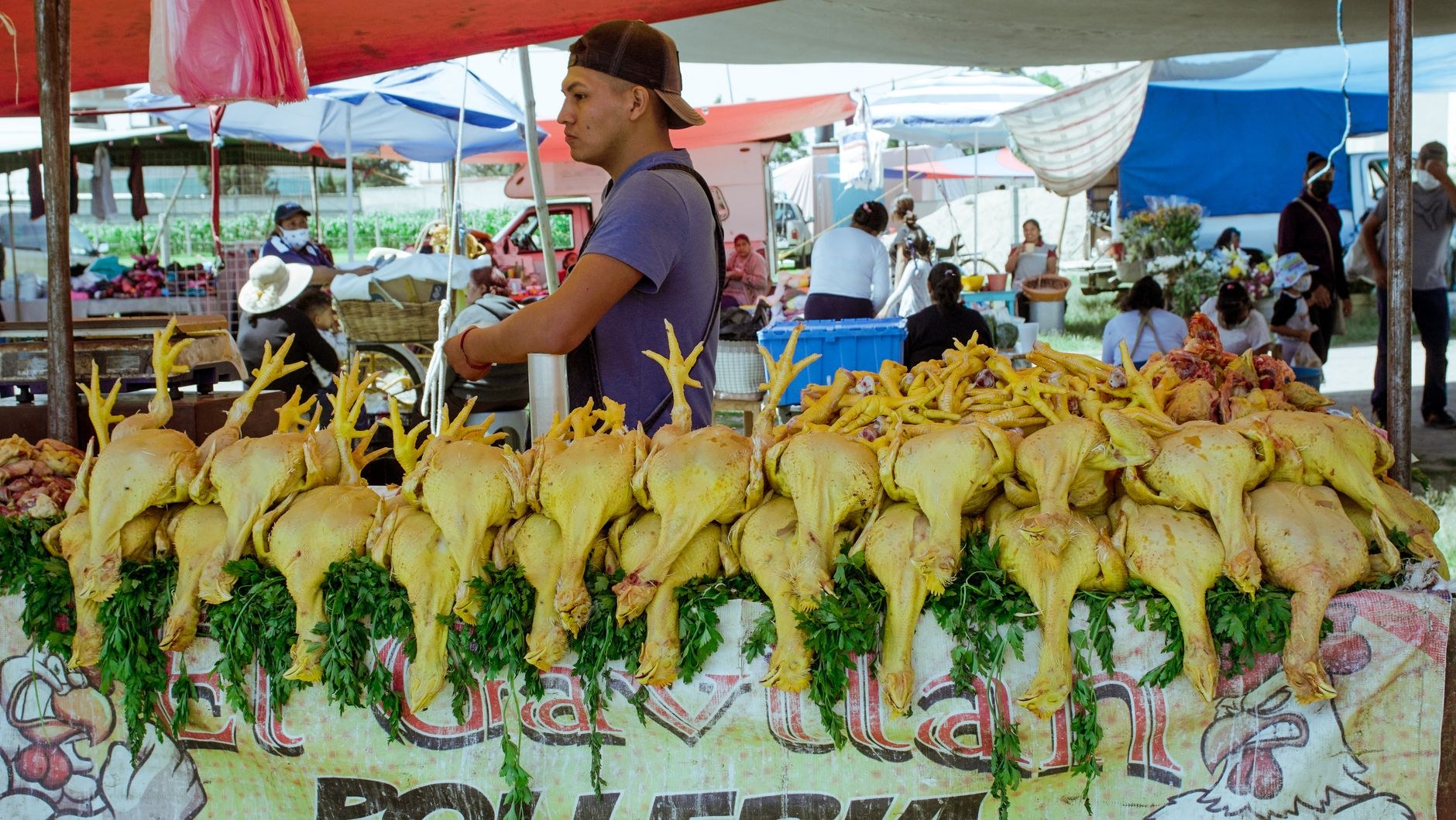 Economía dominicana Kilo de Pollo a RD$120 en SDE: ¿Los - El Farol al Día