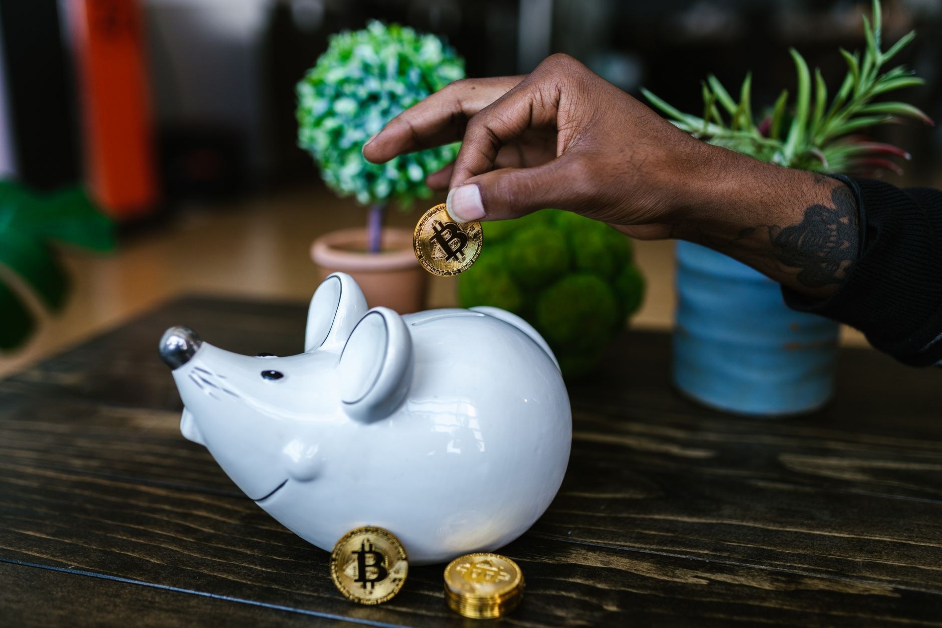 Economía dominicana Fraude Cripto SDE: Los Mina Pierde  - El Farol al Día