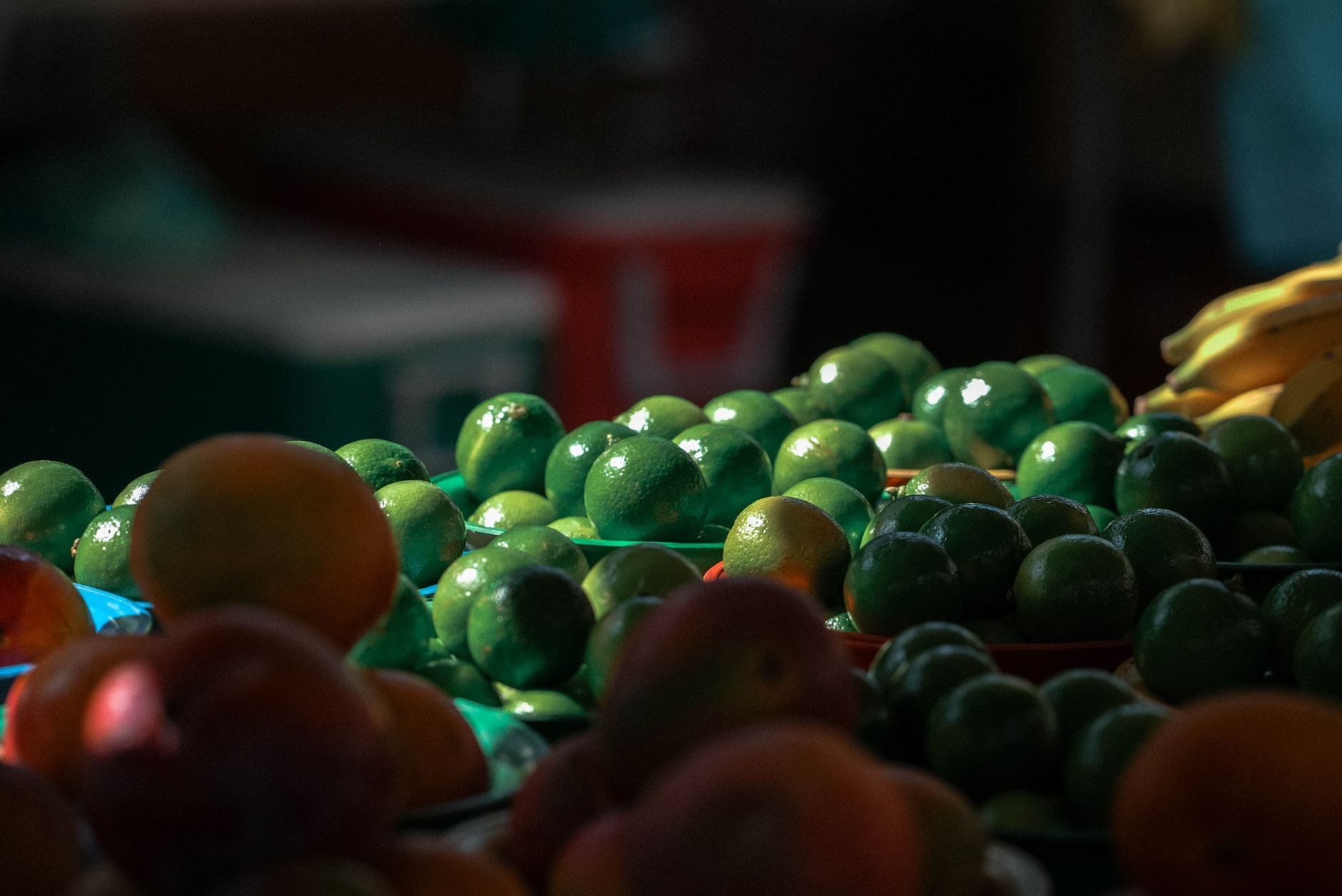 Noticias 40% Comida se Pierde SDE: Golpea Bolsill Santo Domingo Este - El Farol al Día