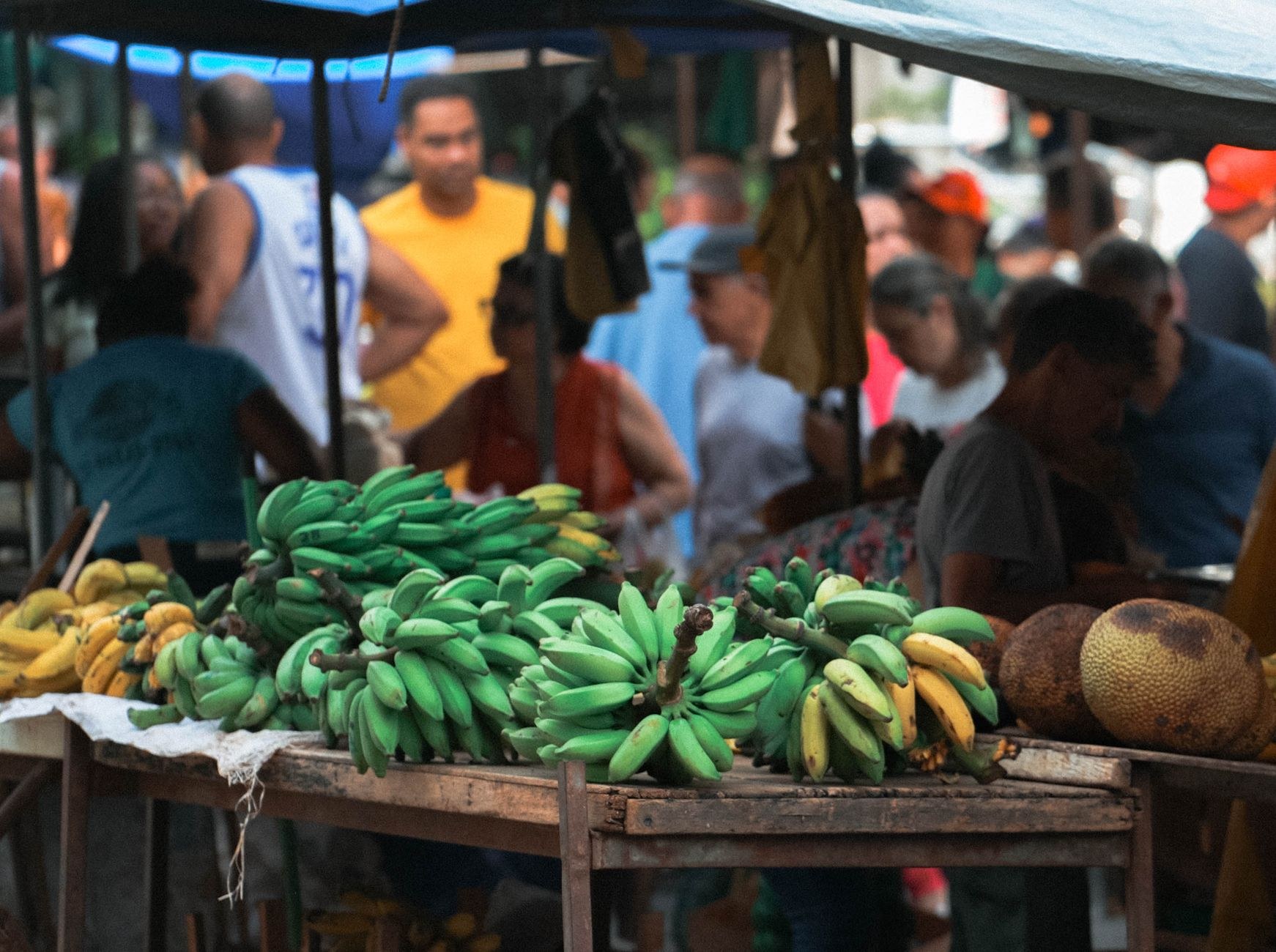 Economía dominicana Tasa Formalización SDE: Negocios en - El Farol al Día