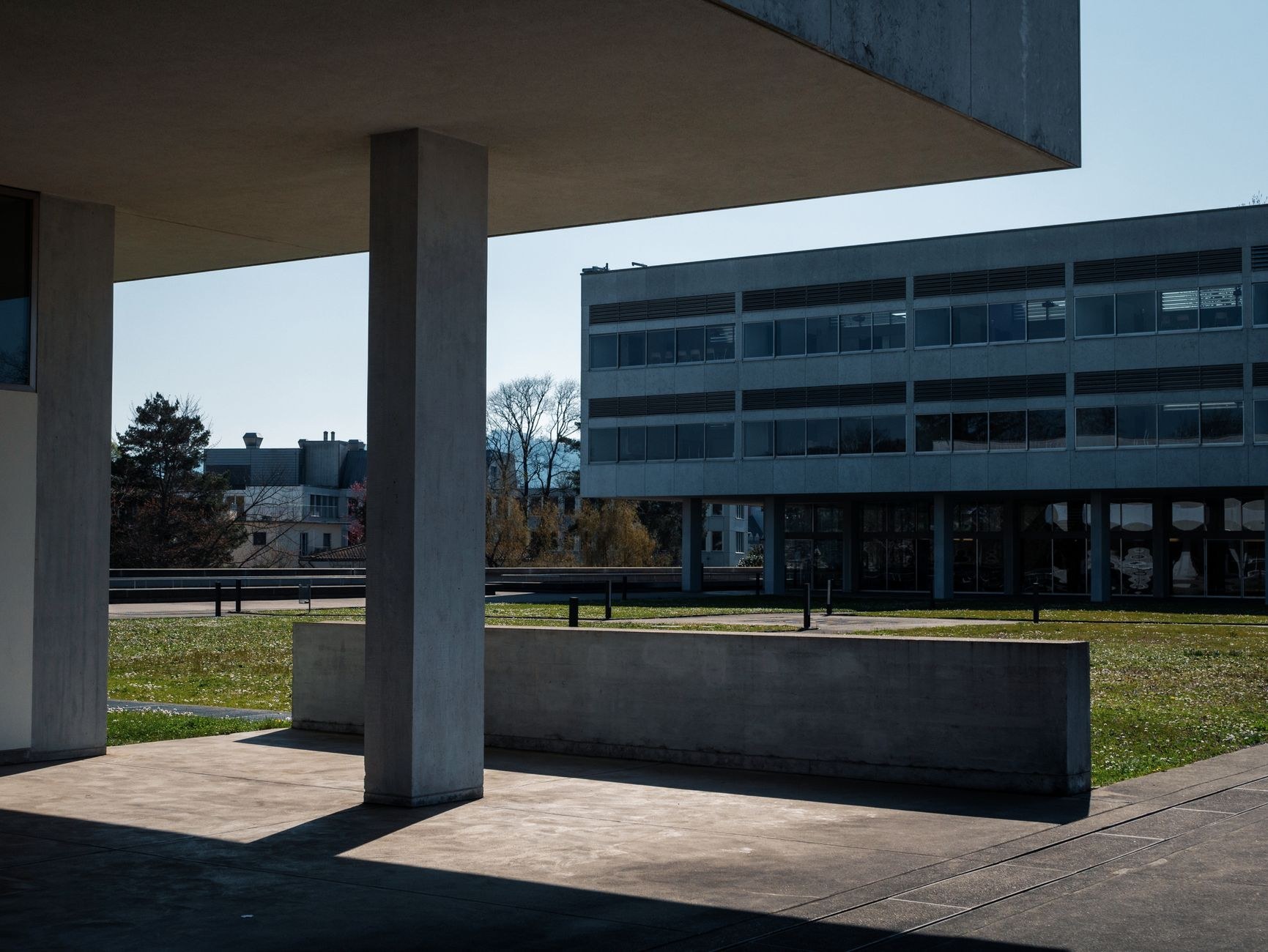 Noticias Universidad SDE: ¿Los Mina Despega con C Santo Domingo Este - El Farol al Día