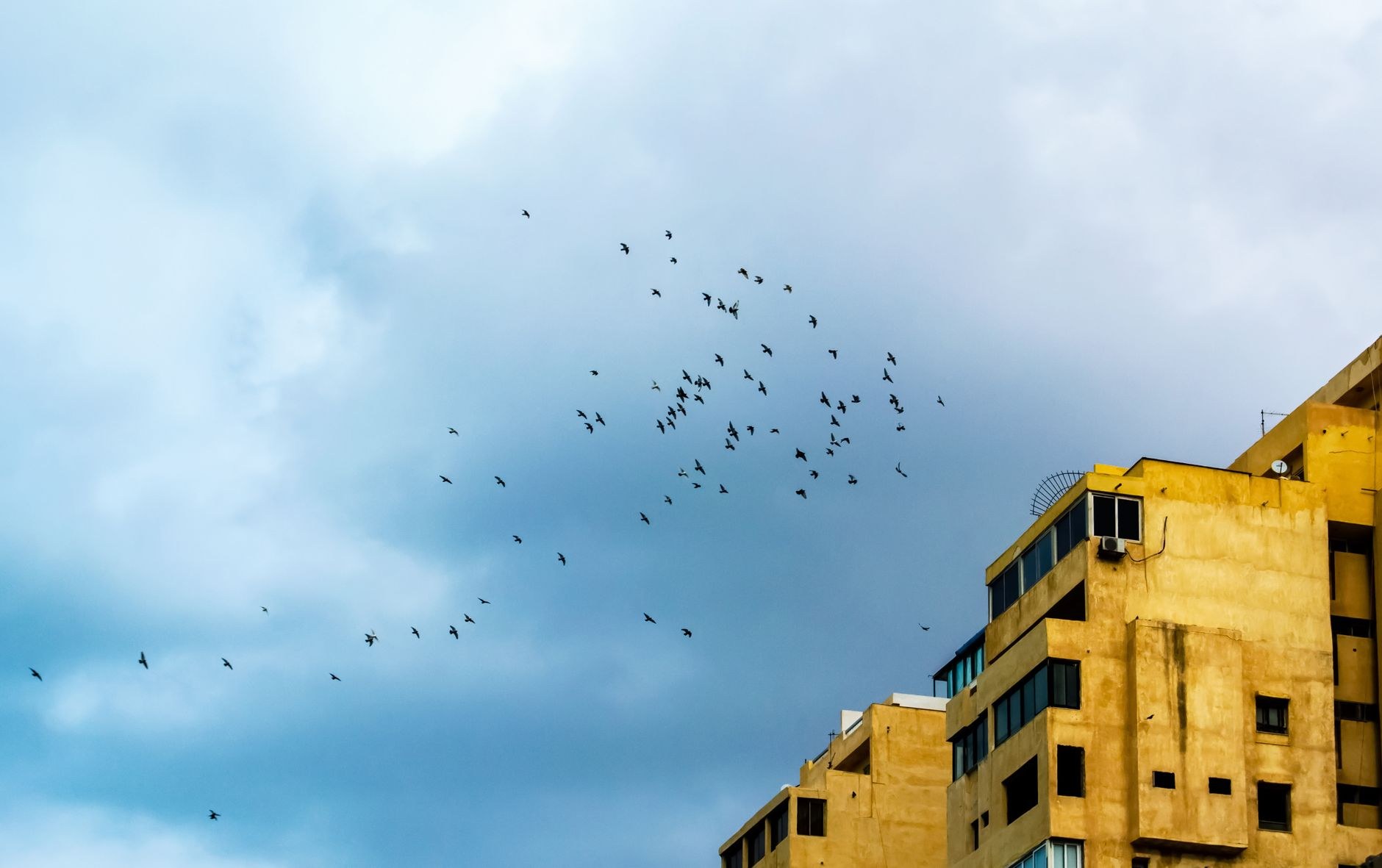 Noticias Murciélagos de SDE: ¿Invivienda y Los Mi Santo Domingo Este - El Farol al Día